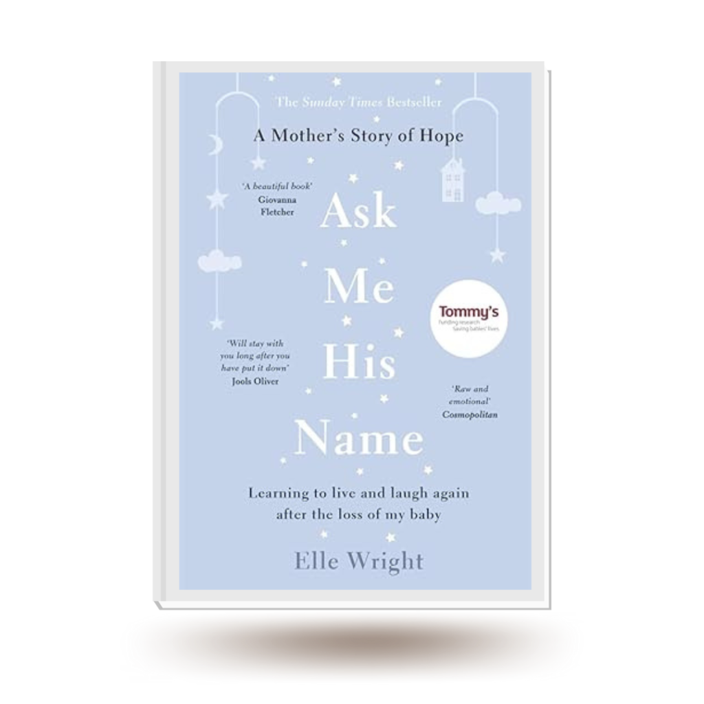 pregnancy loss and miscarriage book