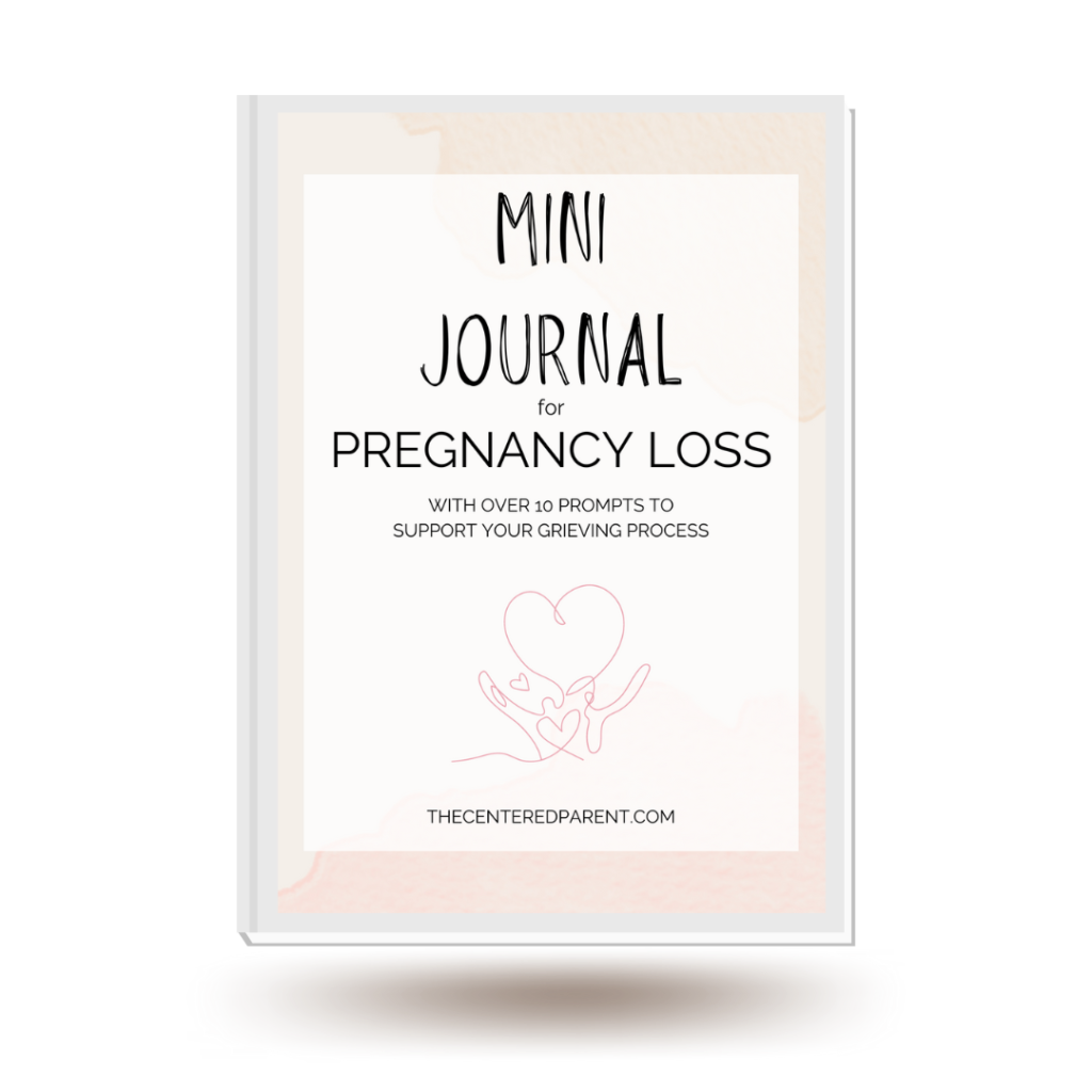 pregnancy loss grief journal